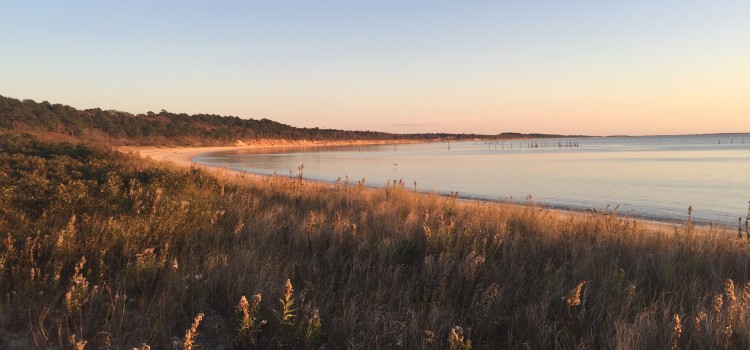 Adventure Log: Kiptopeke and the Eastern Shore Adventure Log: Kiptopeke and the Eastern Shore